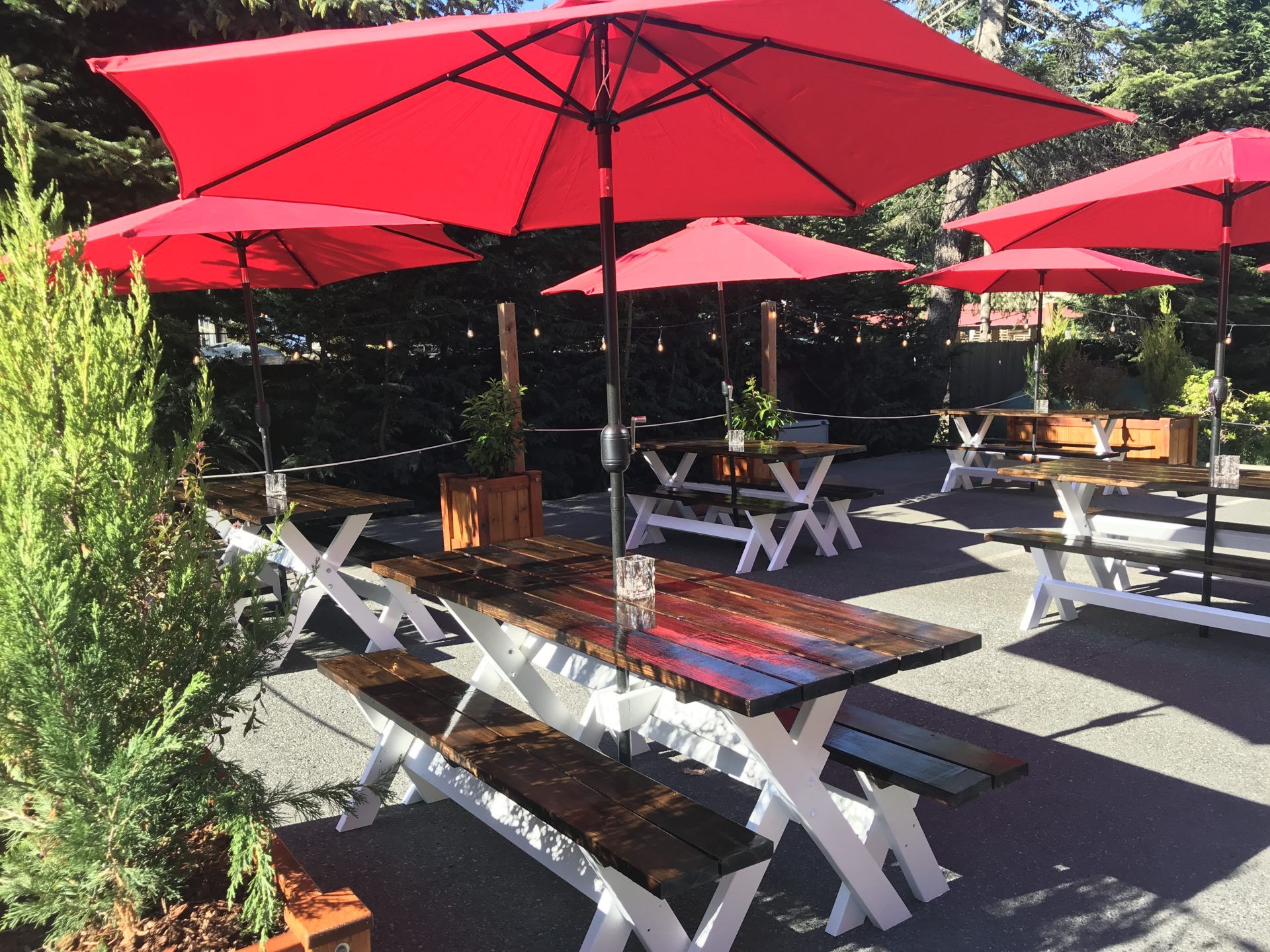 Sunny Patio at Woodfire
