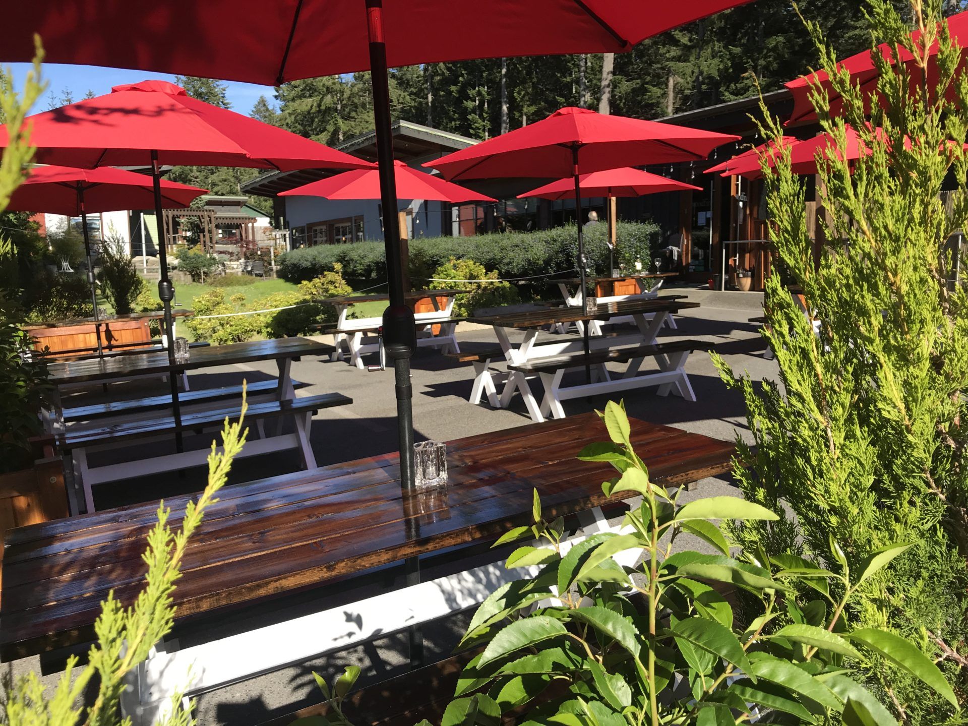 New Patio